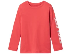 2 jongens shirts<lupilu® Hot