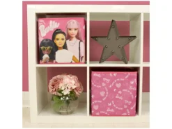 2 opbergboxen<Barbie Outlet