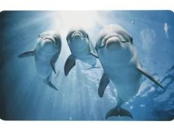 Badmat 50 x 80 cm<LIVARNO® Clearance
