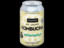 Bio kombucha< Sale