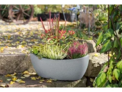 Bloempot<Scheurich Online