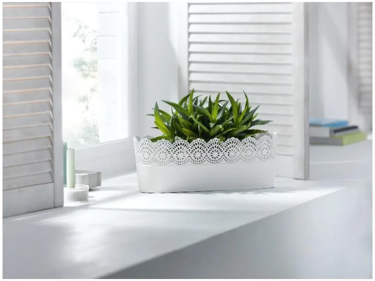 Bloempot<LIVARNO home Online