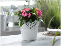 Bloempot<LIVARNO home Online