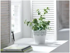Bloempot<LIVARNO home Online
