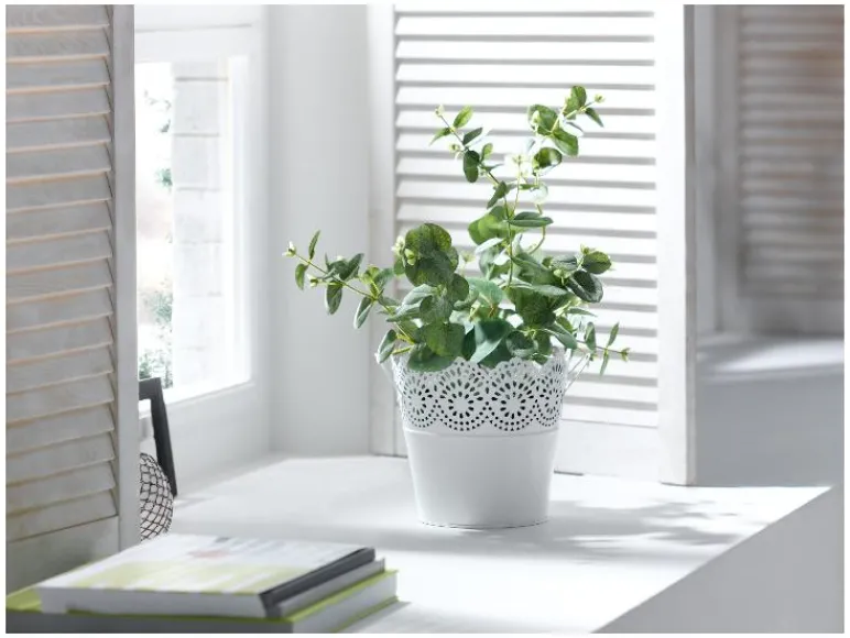 Bloempot<LIVARNO home Online