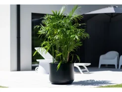 Bloempot Heos<Prosperplast Hot