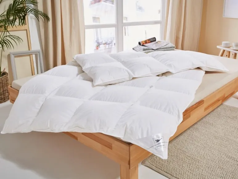 Donzen dekbed<HÄUSSLING Discount