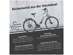 E-bike Trekking XC941 Expedition 28"<TELEFUNKEN Hot