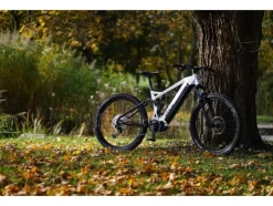 Elektrische mountainbike Dice 5.0<Prophete Clearance