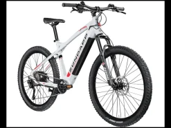 Elektrische mountainbike Z898<Zündapp Best