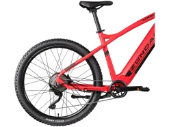 Elektrische mountainbike Z898<Zündapp Best