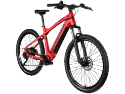 Elektrische mountainbike Z898<Zündapp Best