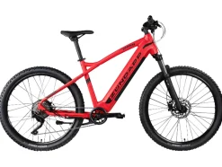 Elektrische mountainbike Z898<Zündapp Best