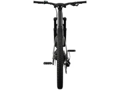 Elektrische mountainbike PEAK 709<CRIVIT Hot