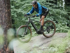 Elektrische mountainbike PEAK 709<CRIVIT Hot