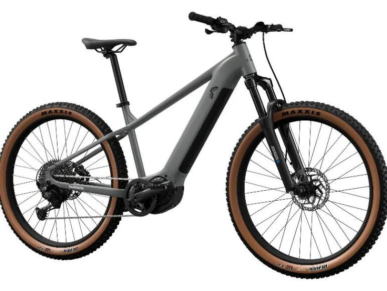 Elektrische mountainbike PEAK 709<CRIVIT Hot