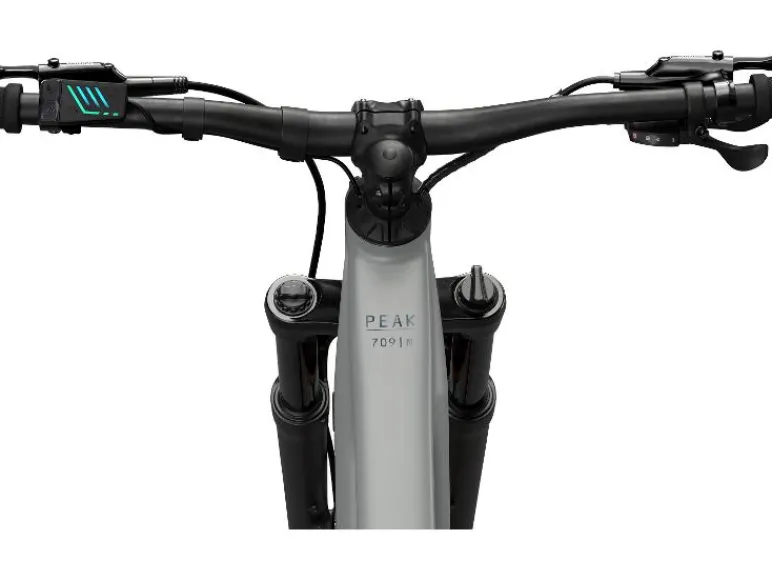 Elektrische mountainbike PEAK 709<CRIVIT Hot