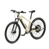 Elektrische mountainbike DICE 2.0<Prophete New