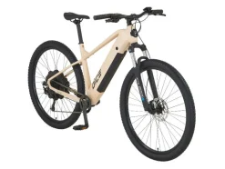 Elektrische mountainbike DICE 2.0<Prophete New