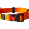 Halsband met lijn<Karlie Hot