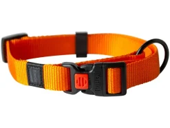 Halsband met lijn<Karlie Hot