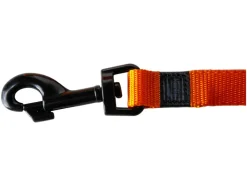 Halsband met lijn<Karlie Hot