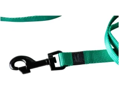 Halsband met lijn<Karlie Hot