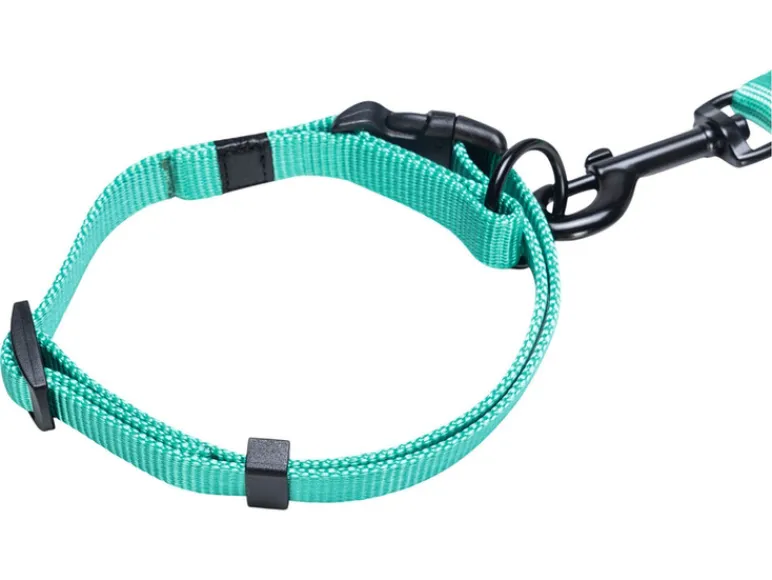 Halsband met lijn<Karlie Hot