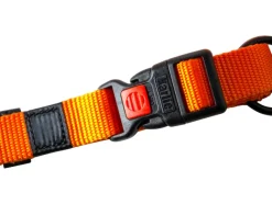 Halsband met lijn<Karlie Hot