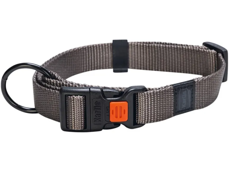 Halsband met lijn<Karlie Hot