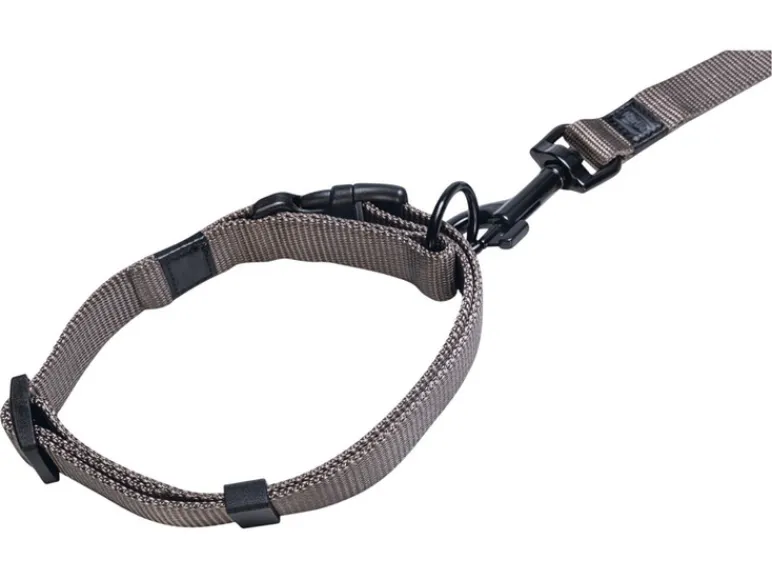 Halsband met lijn<Karlie Hot