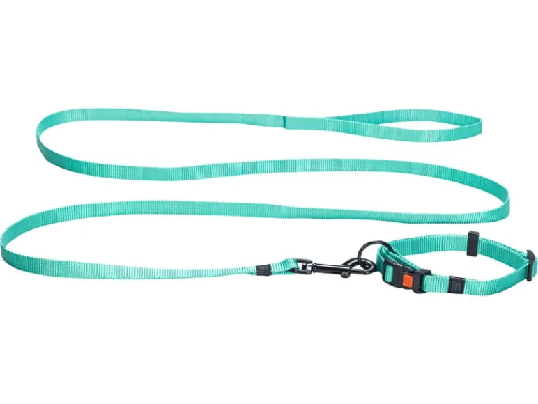 Halsband met lijn<Karlie Hot