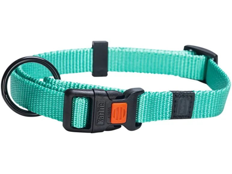 Halsband met lijn<Karlie Hot