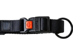 Halsband met lijn<Karlie Hot