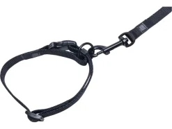 Halsband met lijn<Karlie Hot