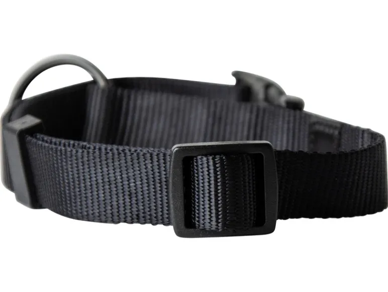 Halsband met lijn<Karlie Hot