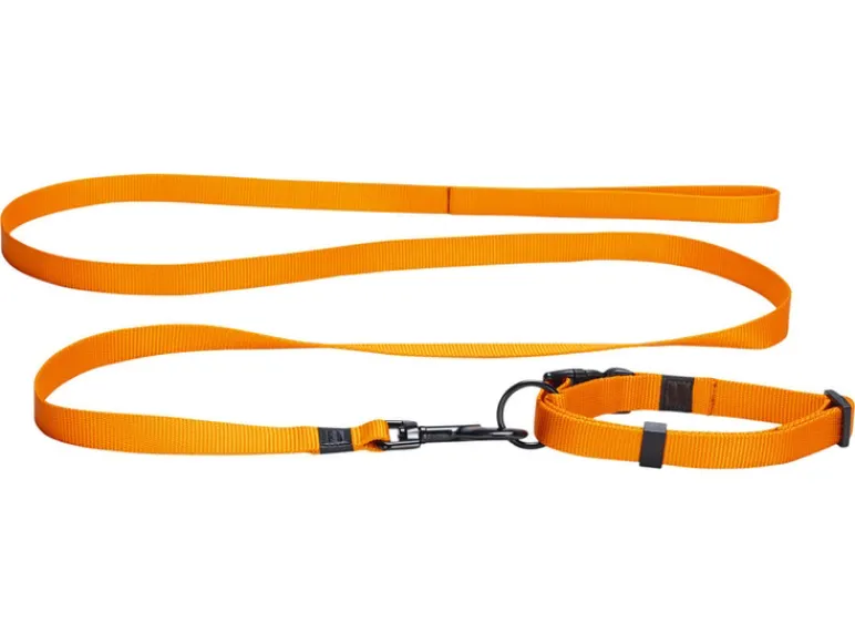 Halsband met lijn<Karlie Hot
