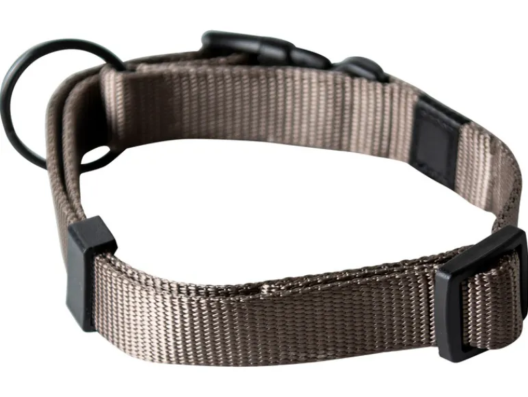 Halsband met lijn<Karlie Hot