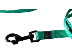 Halsband met lijn<Karlie Hot