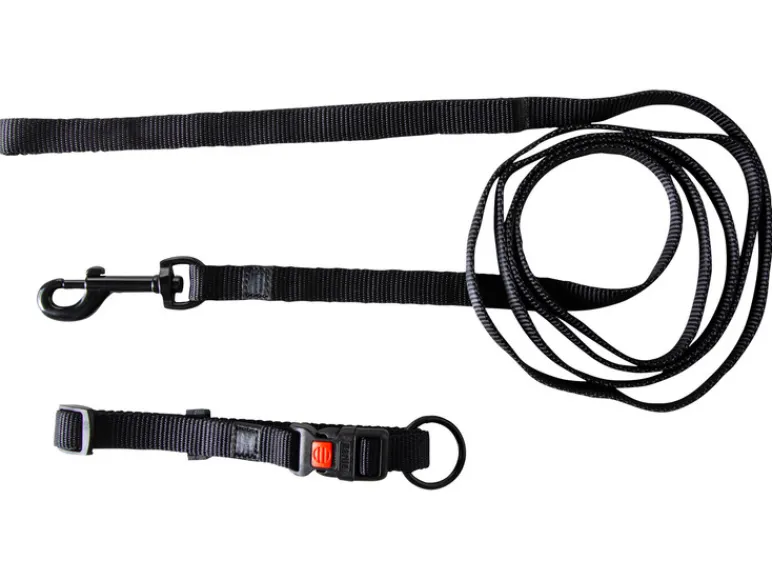 Halsband met lijn<Karlie Hot