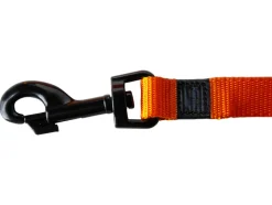 Halsband met lijn<Karlie Hot