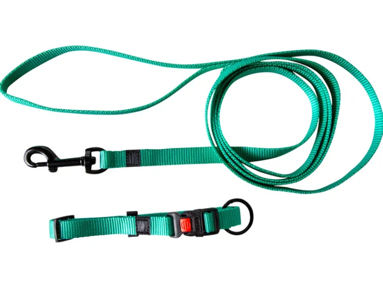 Halsband met lijn<Karlie Hot