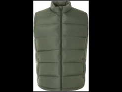 Heren bodywarmer - plus size<esmara Men