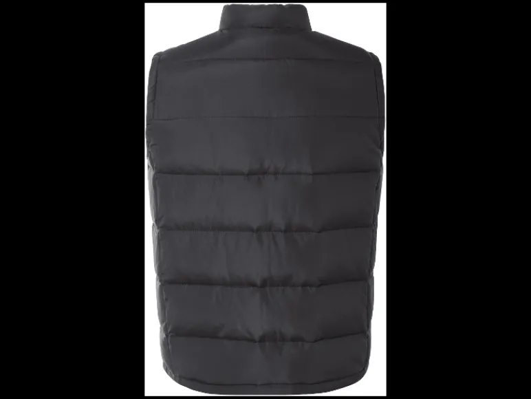 Heren bodywarmer - plus size<esmara Men