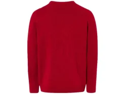Heren kersttrui<LIVERGY® Best
