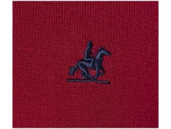 Heren trui<LIVERGY® Best