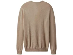 Heren trui<esmara Men Online