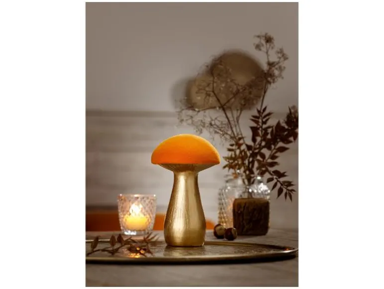 Herfst decoratie<LIVARNO home Sale