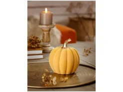 Herfst decoratie<LIVARNO home Sale
