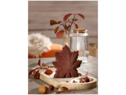 Herfst decoratie<LIVARNO home Sale